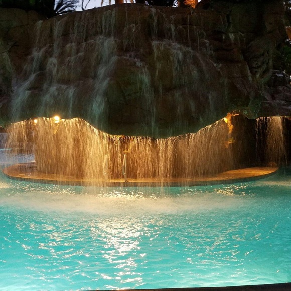 Meet your Posher, Monique - Picture 3 of 3